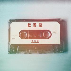 国产真实交换乱配95国产
